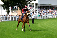 Gt_Yarm_24_Aug_2025-9
