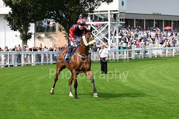 Gt_Yarm_24_Aug_2025-9