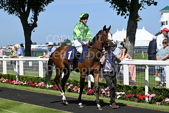 Gt_Yarm_July_30_2024-100