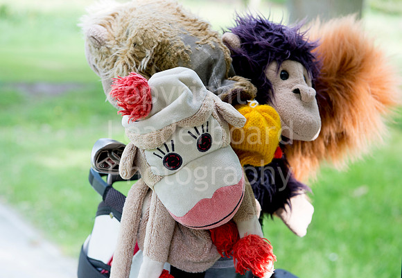 LB_Senior_Broadstone_001_3