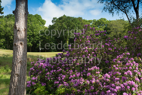 LBP_4926