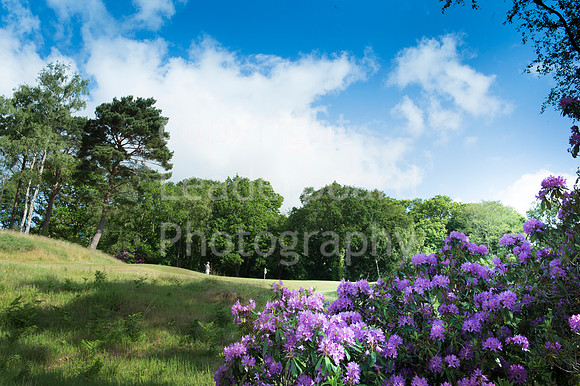 LBP_4936