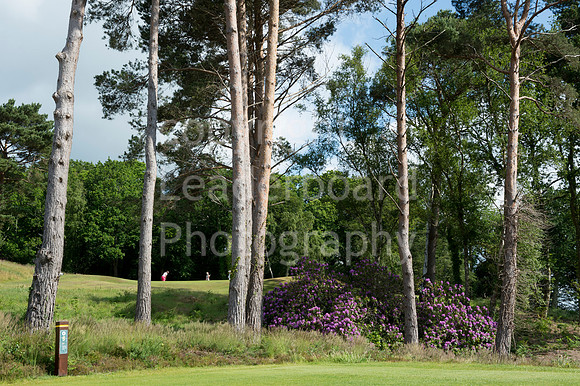 LBP_4949