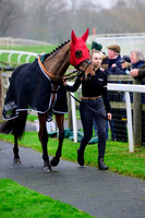 NZ9_2265