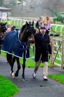 NZ9_2275