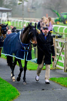 NZ9_2276