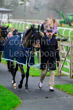 NZ9_2276
