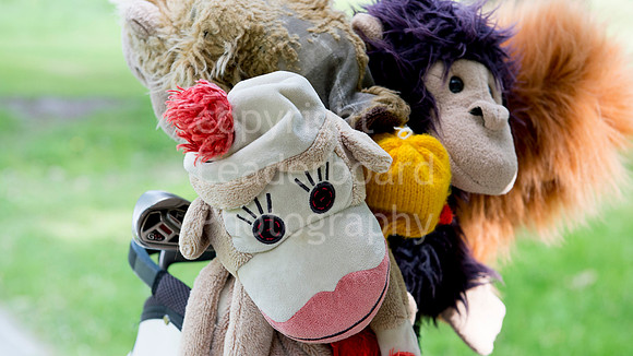 headcover