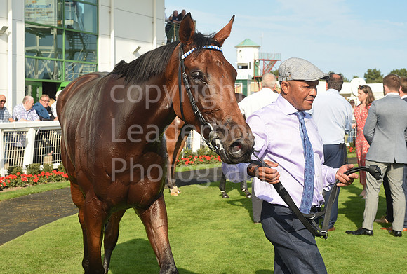 Gt_Yarm_14_Sept_2022-106