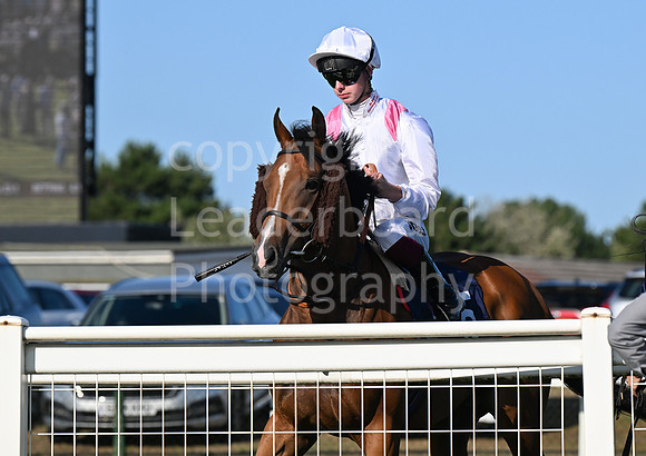 Gt_Yarm_Ladies Night_2025-28