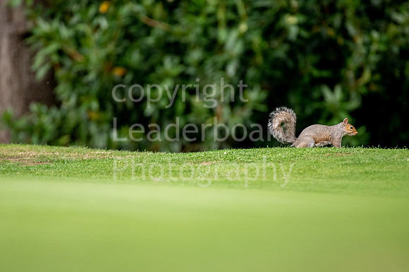 192_GOLF_WEEK_2018