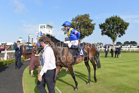 Gt_Yarm_Eastern_Fest_18_Sept_2024-174