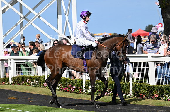 Gt_Yarm_25_Aug_Family_Raceday_2024-47