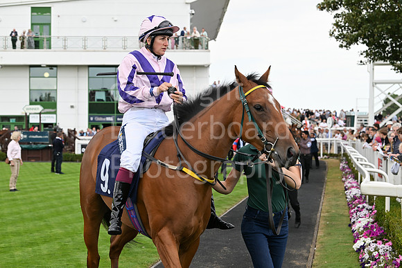Gt_Yarm_24_Aug_2025-42