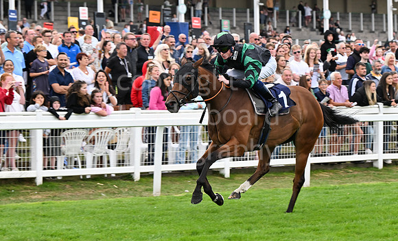 Gt_Yarm_25_Aug_Family_Raceday_2024-246