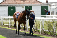 Great_Yarm_Racing_15July-2