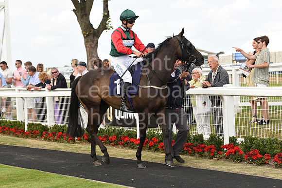 Gt_Yarm_26_July_2022-180