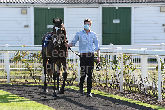 GYraces_17sept-56