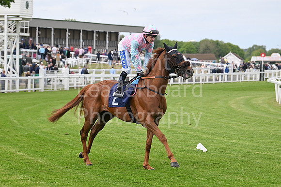 Gt_Yarm_May14_2025-157