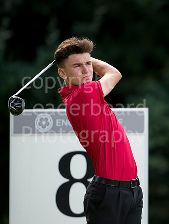 LB_Reid_2016_1065