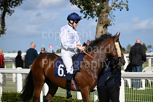 Gt_Yarm_Oct_7_2024-12
