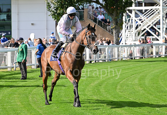 Gt_Yarm_25_Aug_Family_Raceday_2024-130