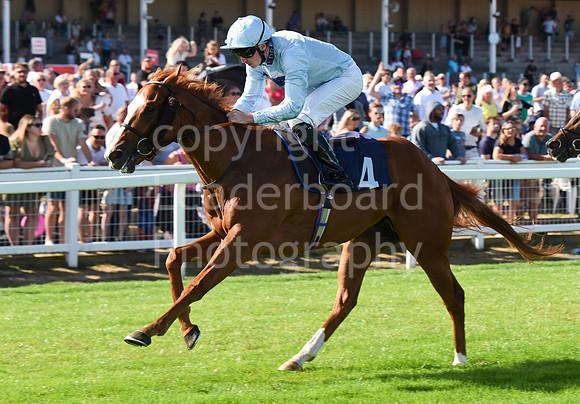 Gt_Yarm_Races_28_Aug_2022-121