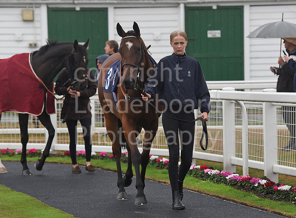 Gt_Yarm_Eastern_Fest_Day_1-128