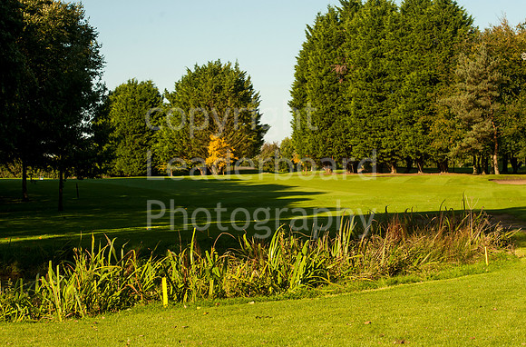 LB_Senior_County_Finals_2016_2199
