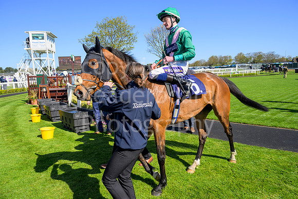 DSC_8629