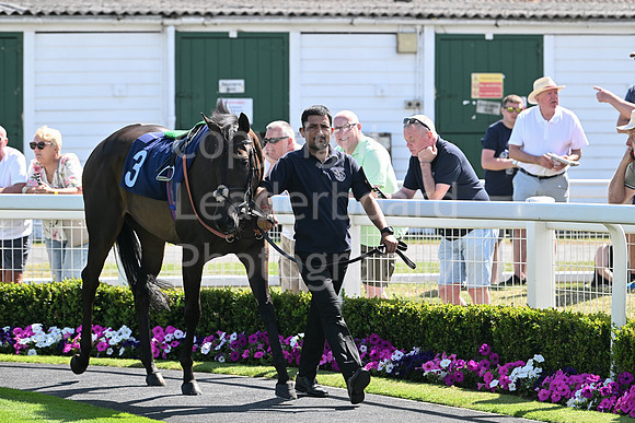 Gt_Yarm_Residents_Day_June_27-85