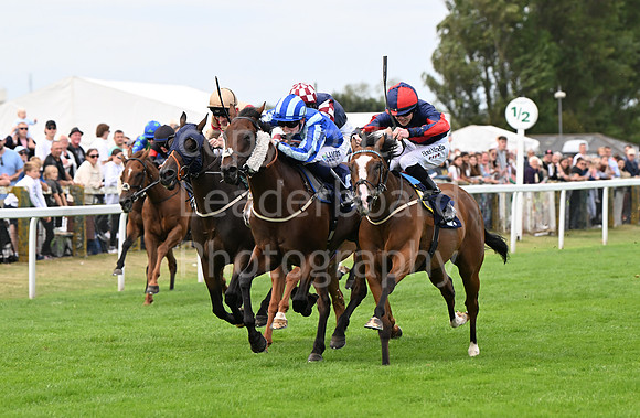 Gt_Yarm_25_Aug_Family_Raceday_2024-201