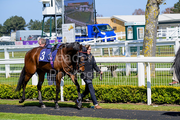 N91_4448