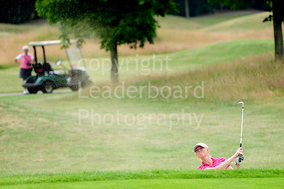NB_14_Mid_Am_Claire_Smith.jpg