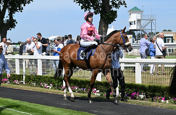 Gt_Yarm_Residents_Day_June_27-59
