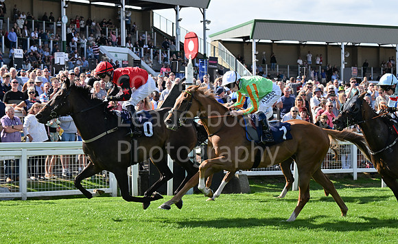 Gt_Yarm_25_Aug_Family_Raceday_2024-115