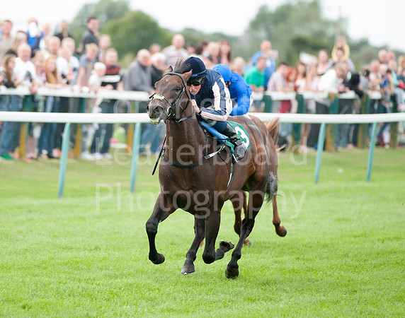LB_JGYR_August_13_2014__045