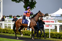 Gt_Yarm_Racing_13_May_2026-6