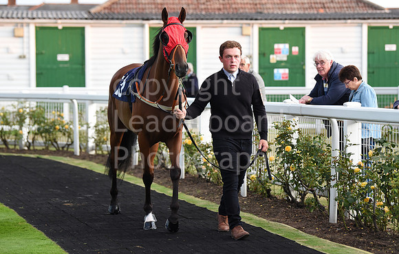 121_GY_Races_20Aug
