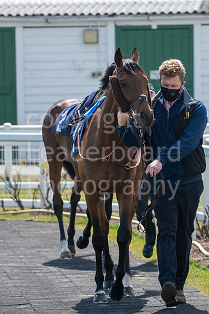 LBP_1564