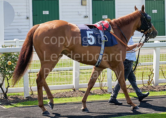 Great Yarmouth  Race One 11th Aug 2021 0141