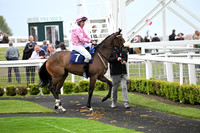 Gt_Yarm_Eve_20_May_2026-17