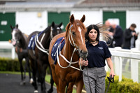 Gt_Yarm_Eve_20_May_2026-2