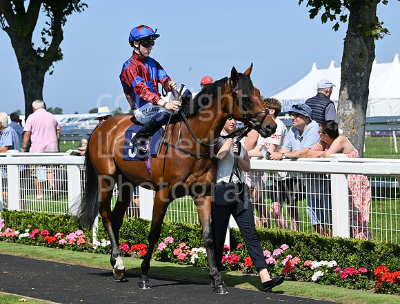 Gt_Yarm_July_30_2024-97