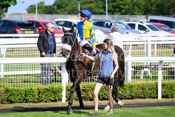 N91_7561