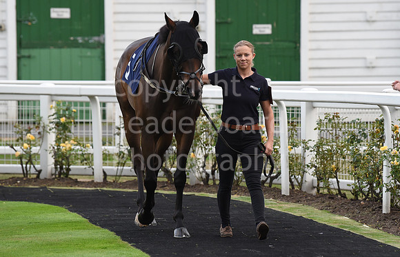 100_GY_Races_20Aug