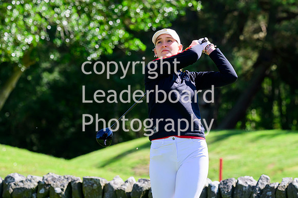 NZ9_4463