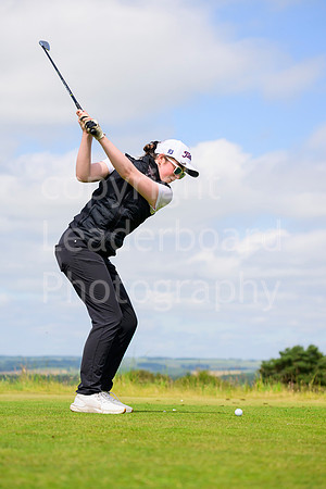 N91_3404