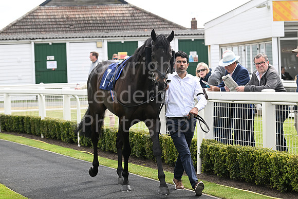 Gt_Yarm_May14_2025-139