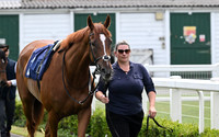 Gt_Yarm_18_June_May_2026-2